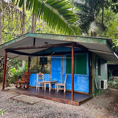 Chosa Manglar Suites & Cabins Пуэрто-Хименес Экстерьер фото