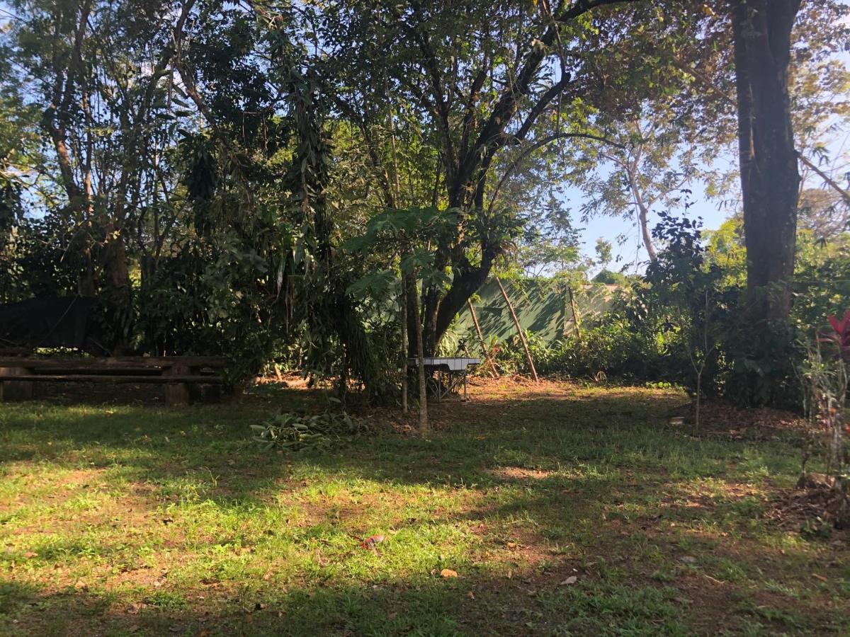 Chosa Manglar Suites & Cabins Пуэрто-Хименес Экстерьер фото
