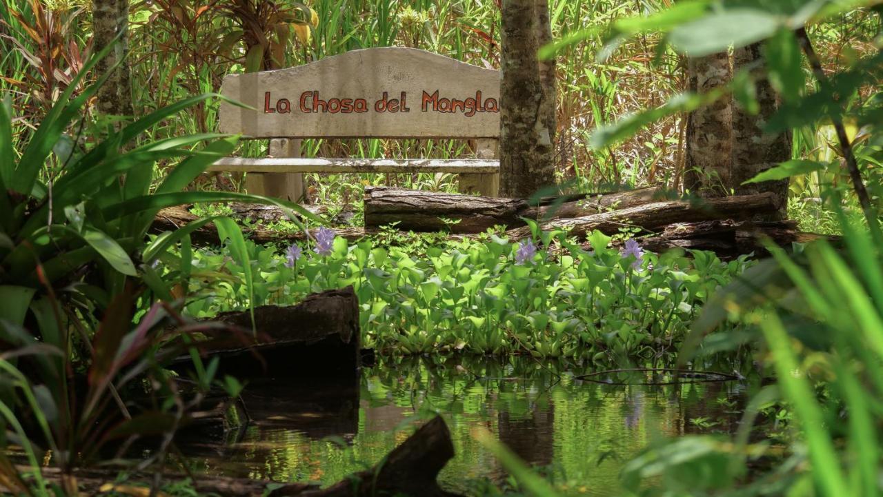 Chosa Manglar Suites & Cabins Пуэрто-Хименес Экстерьер фото