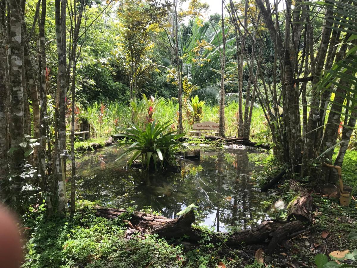 Chosa Manglar Suites & Cabins Пуэрто-Хименес Экстерьер фото