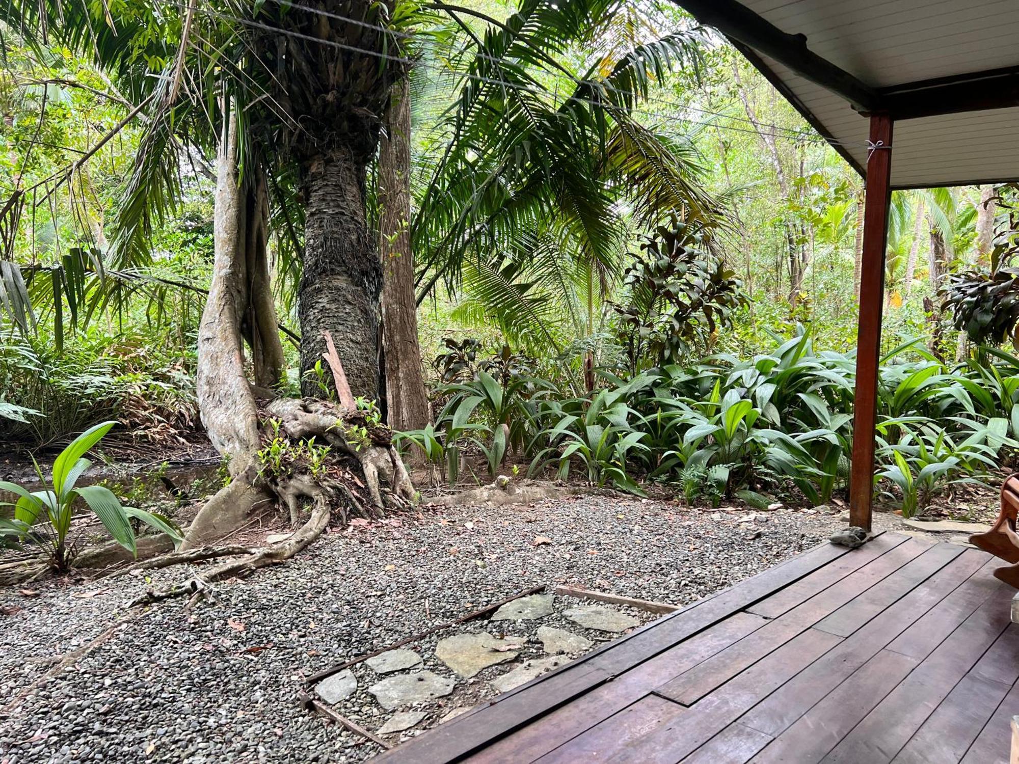 Chosa Manglar Suites & Cabins Пуэрто-Хименес Экстерьер фото